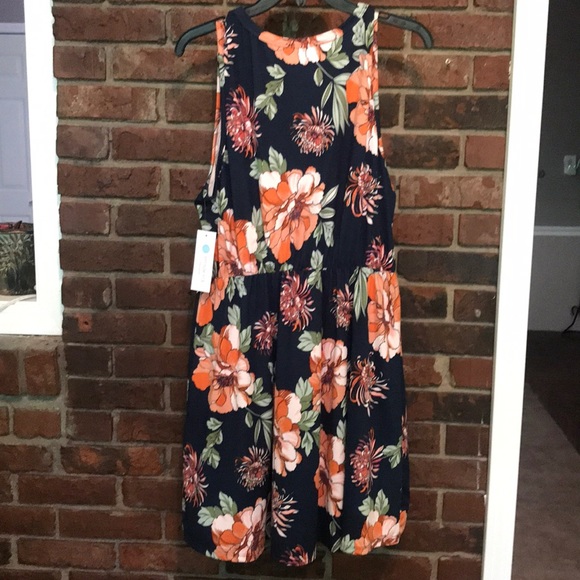 French Grey | Dresses | Nwt Beautiful 